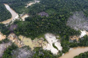 Experto ambiental señaló que deforestación en Venezuela llegó a niveles de los años 90