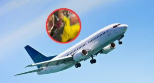 Hinchas de Bucaramanga tuvieron que celebrar el titulo en pleno avión