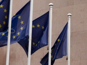 La UE expresa su "firme" apoyo al orden constitucional en Bolivia y respaldo a democracias