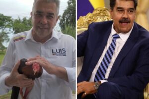 La punta de Luis Eduardo Martínez a Nicolás Maduro usando un gallo “pataruco” huyendo de uno pinto (+Video)