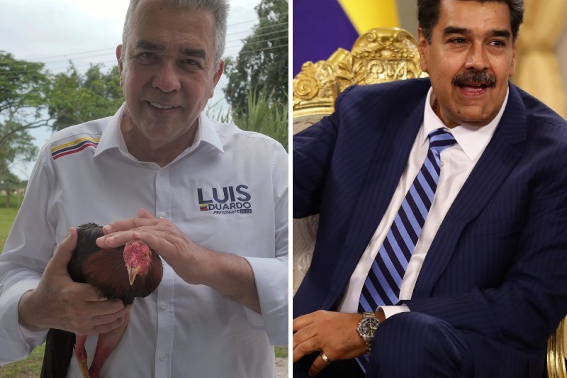La punta de Luis Eduardo Martínez a Nicolás Maduro usando un gallo “pataruco” huyendo de uno pinto (+Video)