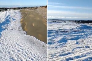 Las olas del mar se congelaron debido al frío extremo (+Video)
