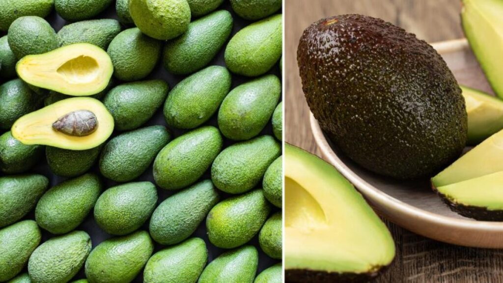 Los efectos en el cerebro de comer aguacate cada día