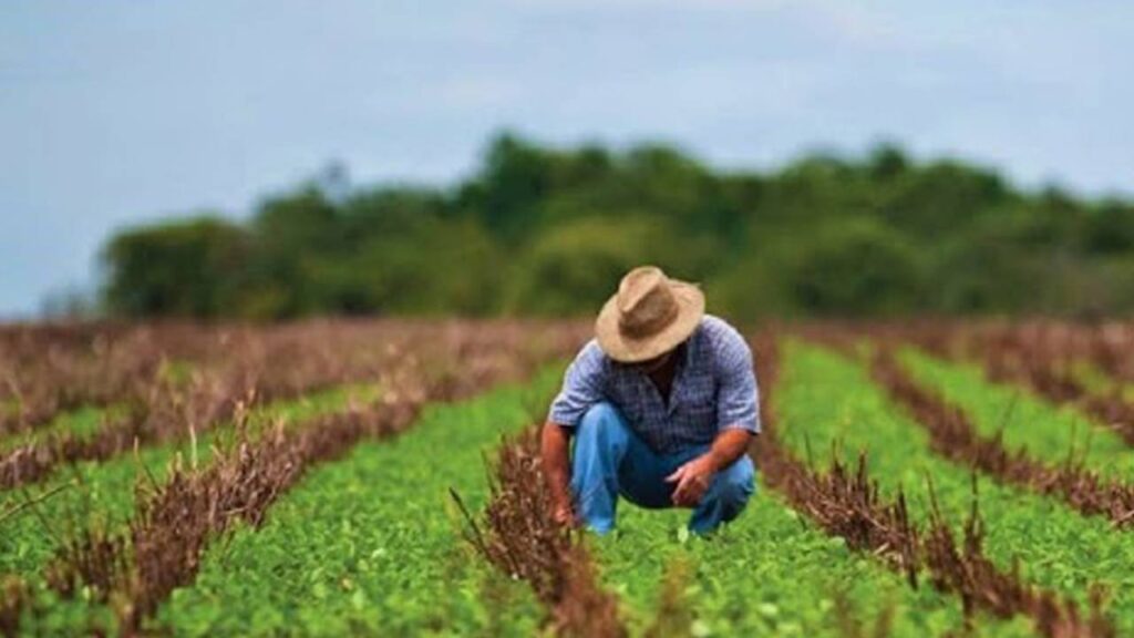 Opinan que se debe excluir al sector primario del fondo de pensiones porque afecta la seguridad alimentaria