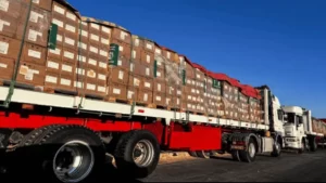 PMA advierte sobre niveles catastróficos de hambre en el sur de Gaza