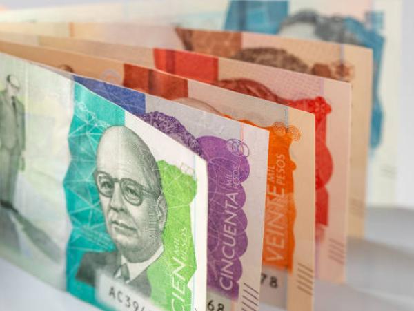 Procurarduría abre investigación contra funcionarios de 14 entidades: ¿por qué? | Gobierno | Economía