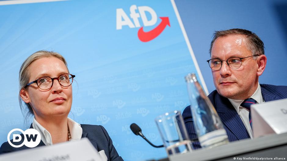 Reeligen a líderes de partido de extrema derecha alemán AfD – DW – 29/06/2024