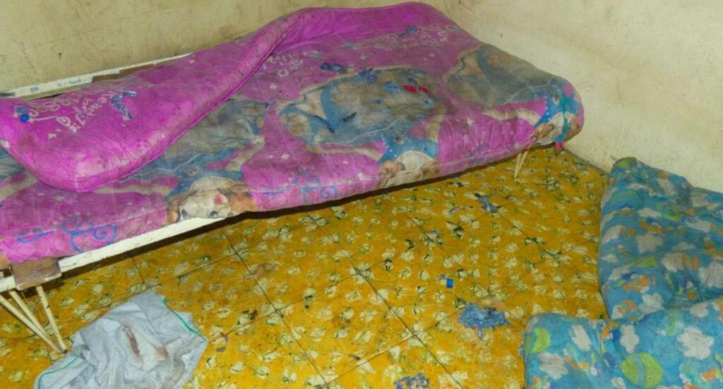 Sellan residencias en Ibagué por condiciones de desaseo desagradable: fotos