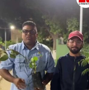 Sembrarán 8.000 árboles gracias al programa Adopta una Planta