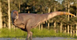 Si te parecía que T. rex tenía los brazos pequeños, mira a este dinosaurio