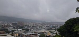 fuertes lluvias y árboles caídos en la Gran Caracas 
