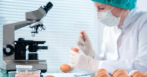 ¿Cómo pueden ayudar las bacterias a mejorar los alimentos?