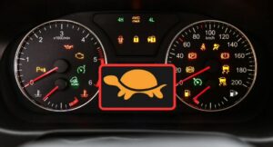 ¿Qué significa el testigo de la tortuga en el tablero? Así debe utilizarlo