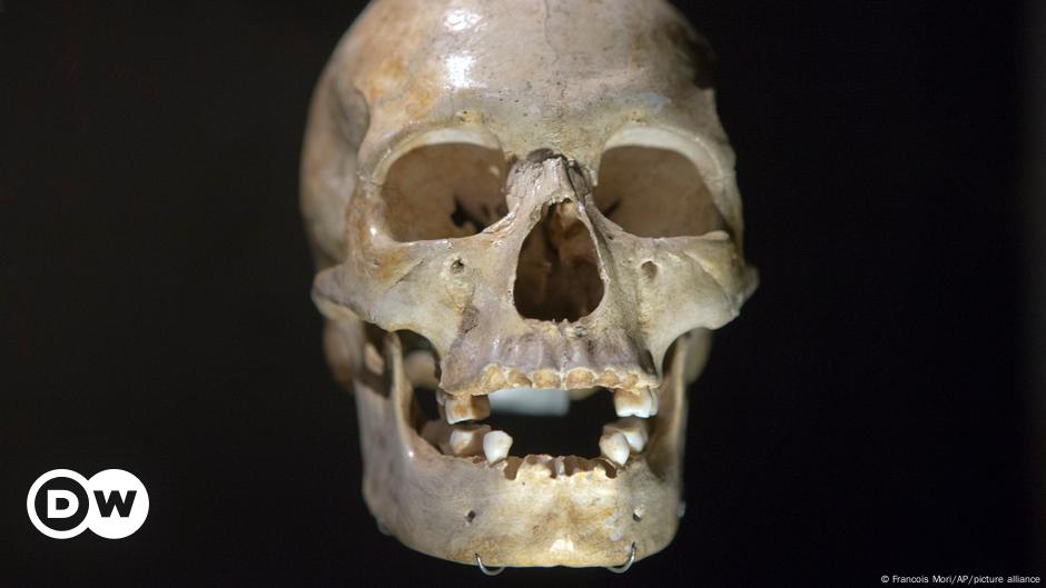 ¿Por qué el Homo sapiens es el único primo humano que queda? – DW – 25/07/2024