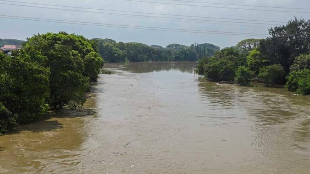 ¿Qué hay detrás de los hallazgos de osamentas de caballos en zonas de la ribera del río Cauca, entre Cali y Palmira?