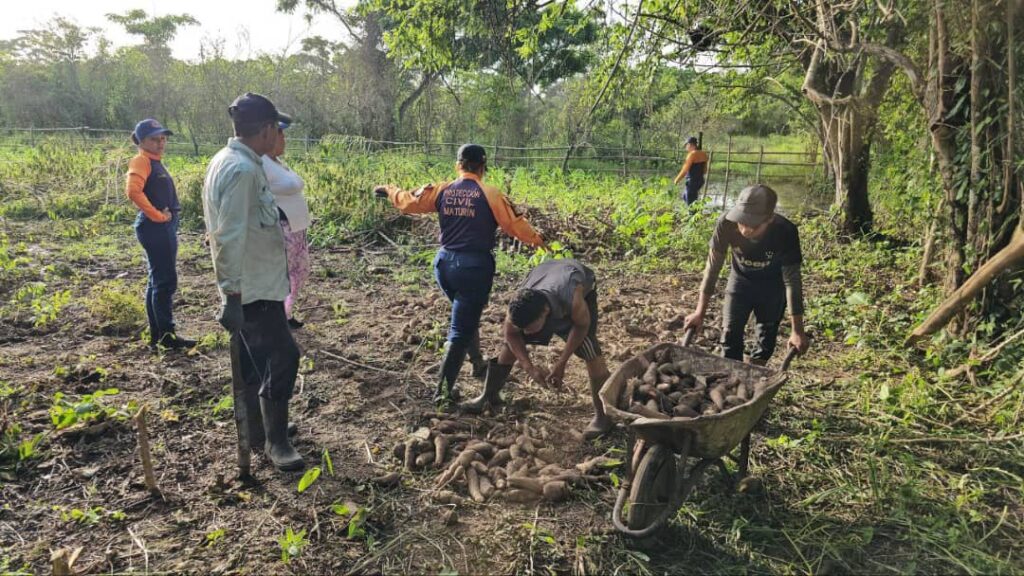 20 hectáreas productivas afectadas en Monagas por fuertes lluvias
