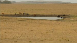 Advierten que el regreso de La Niña podría afectar especialmente a Uruguay
