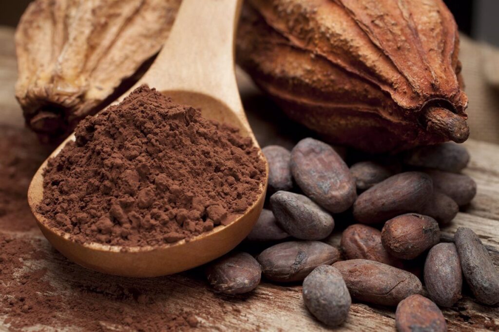 Cacao para prevenir la pérdida de audición asociada a la edad