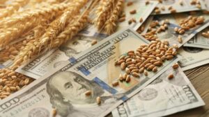 Caen varias divisas, arrastradas por la baja en los precios de materias primas