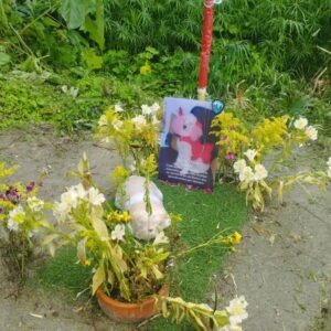Cementerio de mascotas en Táchira permite a sus dueños aliviar el duelo