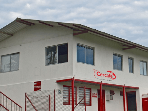 Cercafe, cooperativa porcícola y su estrategia para ganarle mercado al cerdo importado | Agro | Economía