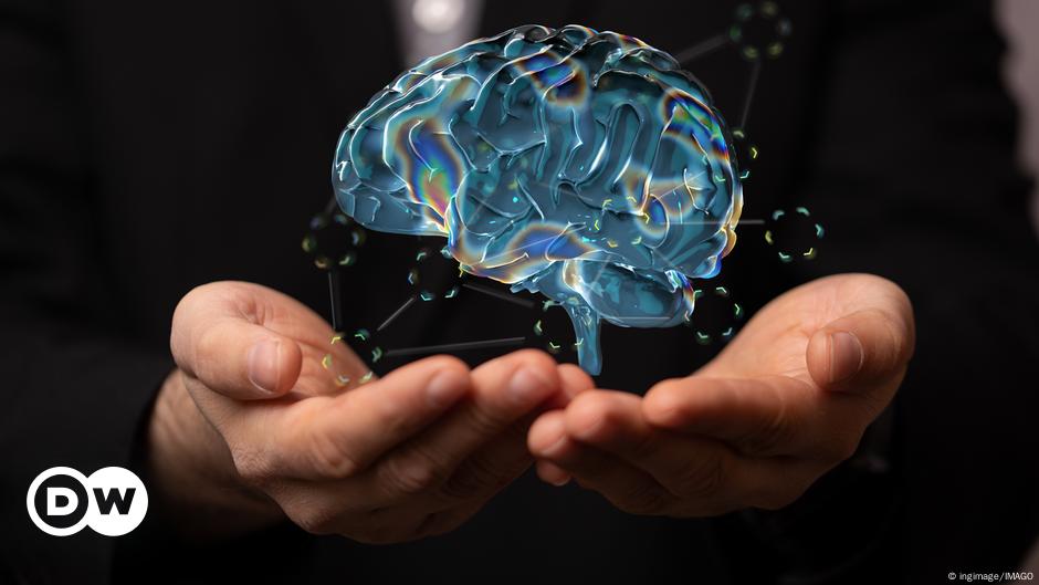 Científicos demuestran que el cerebro puede rejuvenecer – DW – 17/07/2024