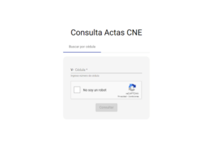 Cómo acceder a la página web impulsada por María Corina Machado para consultar actas de presidenciales (+Video)