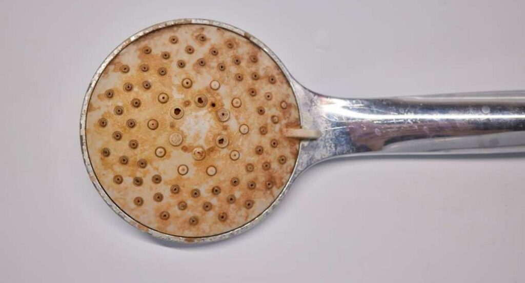 Cómo limpiar los orificios de la ducha de moho y óxido pegado con pasos caseros