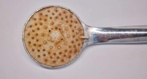 Cómo limpiar los orificios de la ducha de moho y óxido pegado con pasos caseros