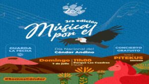 Concierto para propiciar la conservación del cóndor, ave en peligro en Ecuador