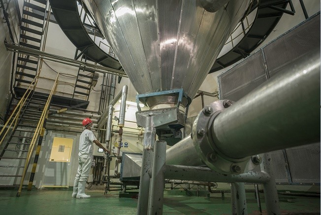 industria alimentaria desarrollo