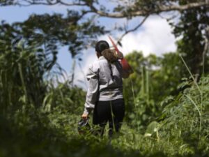 Contraloría presentó hallazgos encontrados en auditoría a la ANT | Gobierno | Economía
