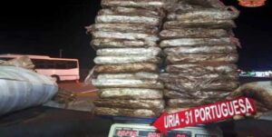 Detienen a tres personas con 30,29 kilos de marihuana