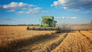 El agro cerró un ejercicio con ganadores y perdedores tras la sequía