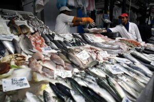 El cambio climático es una amenaza para la pesca en este siglo