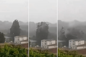 El impactante momento en el que un rayo pulverizó un árbol en una localidad de Francia (+Video)