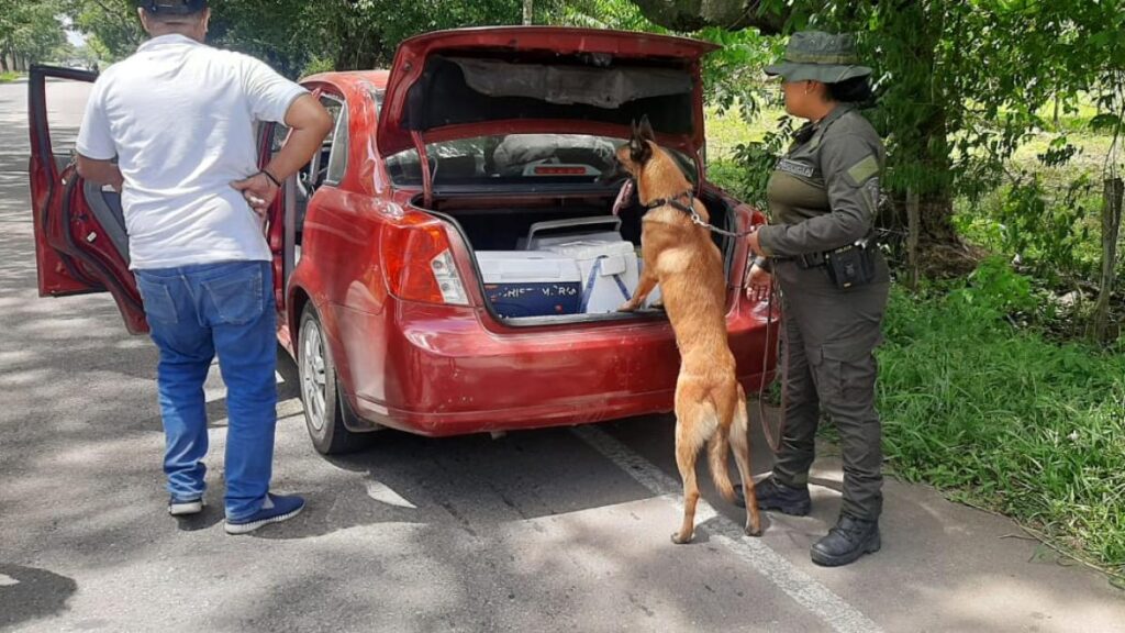 En El Cesar decomisan mercancías de contrabando avaluada en $250 millones