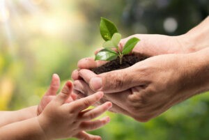 En Nueva Esparta avanza la jornada de sensibilización “Adopta tu planta” - Yvke Mundial