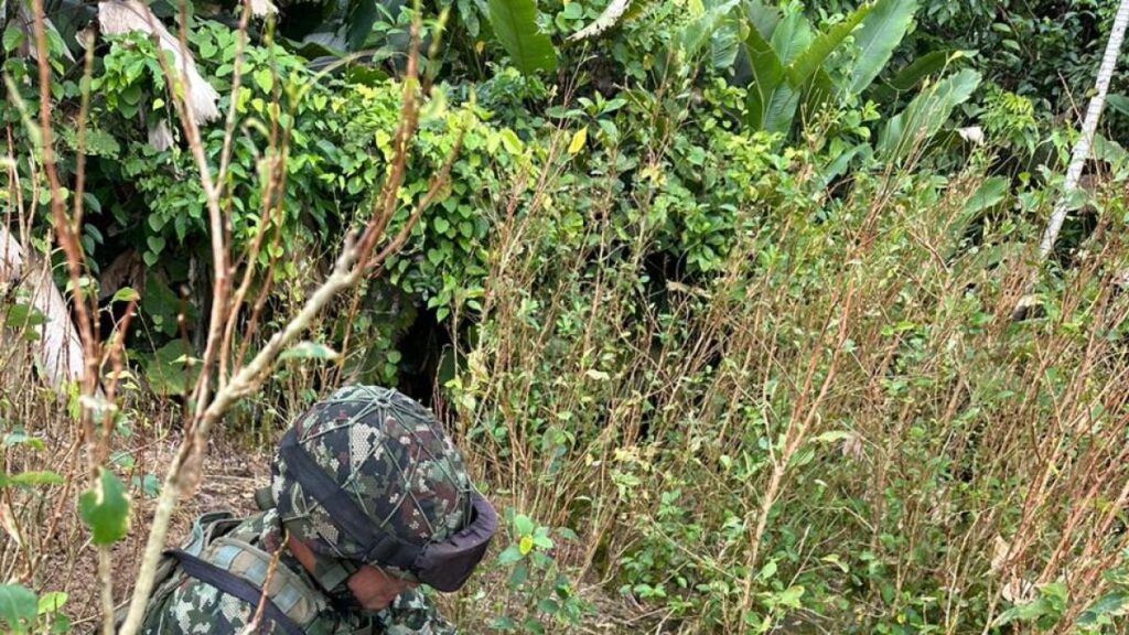 Frustran atentado conta la Fuerza Pública en Tumaco, Nariño