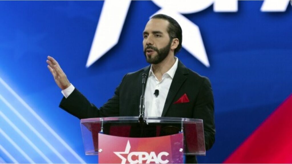 Fuerte advertencia de Nayib Bukele contra los importadores de alimentos: Van a tener problemas