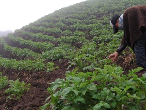 Gobierno reconocería zonas campesinas en áreas protegidas | Gobierno | Economía