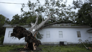 Hogares deTexas sin luz ante el paso de Beryl