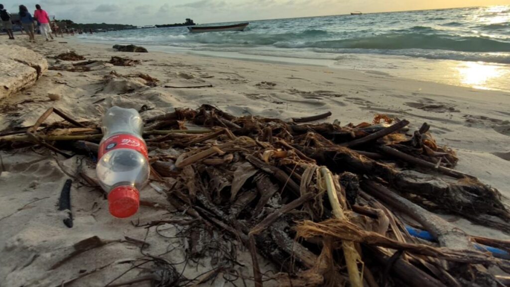 La alerta inminente que hacen investigadores sobre el mar Caribe por contaminación de microplásticos