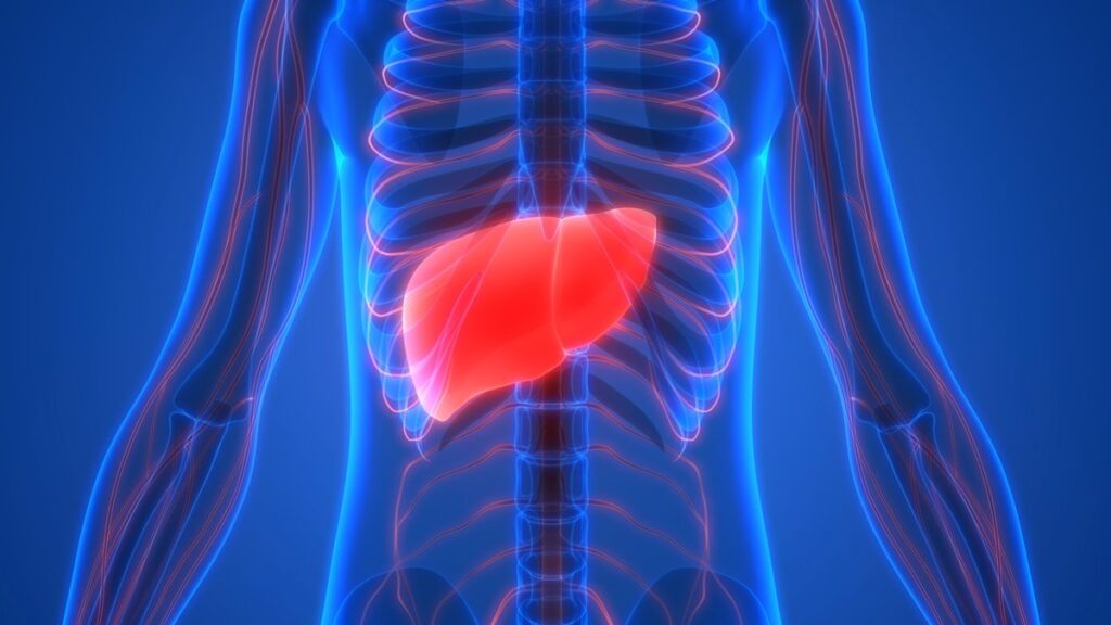 La hepatitis C baja su incidencia en España gracias a los planes de tratamiento y estrategias de microeliminación