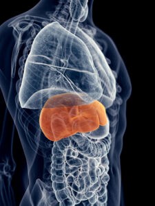 La hepatitis se puede convertir en cáncer hepático, si no se cuida