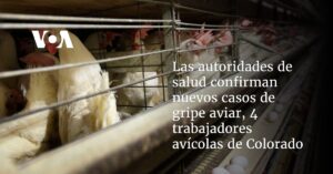 Las autoridades de salud confirman nuevos casos de gripe aviar en 4 trabajadores avícolas de Colorado