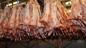 Las exportaciones a Israel se triplicaron en junio