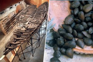 Los arqueólogos llevaban 60 años intrigados por la edad de un viejo barco griego. Han resuelto el misterio con frutos secos
