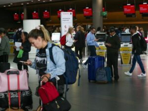 Los elementos más raros y prohibidos que más decomisan en el aeropuerto El Dorado | Regiones | Economía