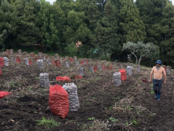Minagricultura afirma que la región es potencia para enfrentar la crisis climática | Gobierno | Economía